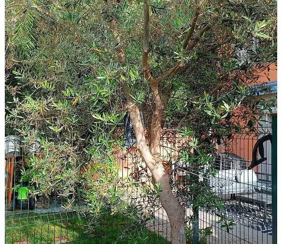Le Jardin