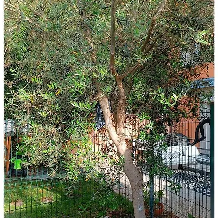 Le Jardin